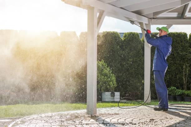 Best House Exterior Washing  in Excelsior, MN